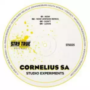 Cornelius SA - Now (Dwson Remix)